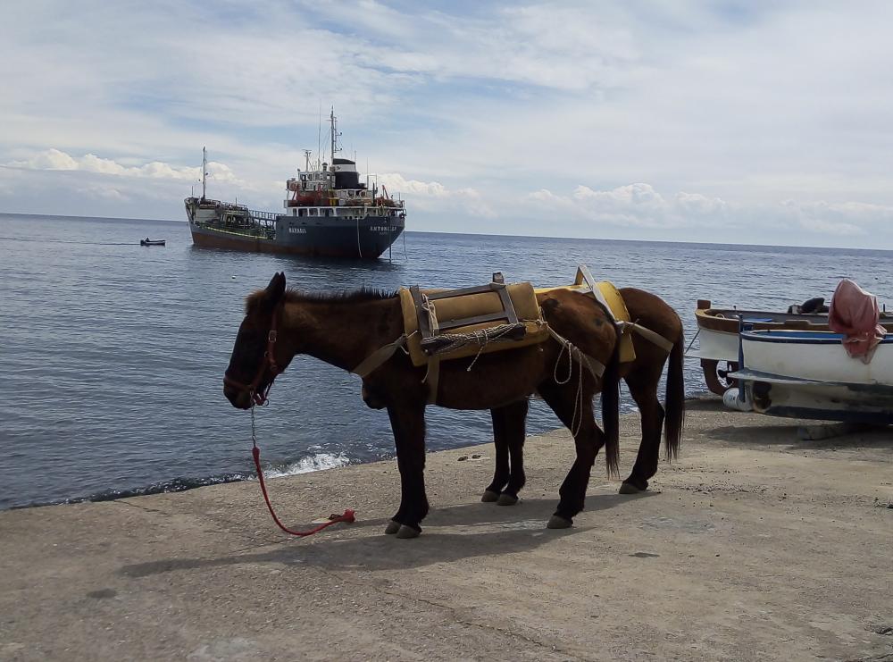 ALicudi Muli Schiff ALicudi Muli Schiff