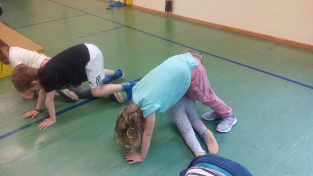 Kinderturnen Trampeltier Brücke unten durch Kinderturnen Trampeltier Brücke unten durch