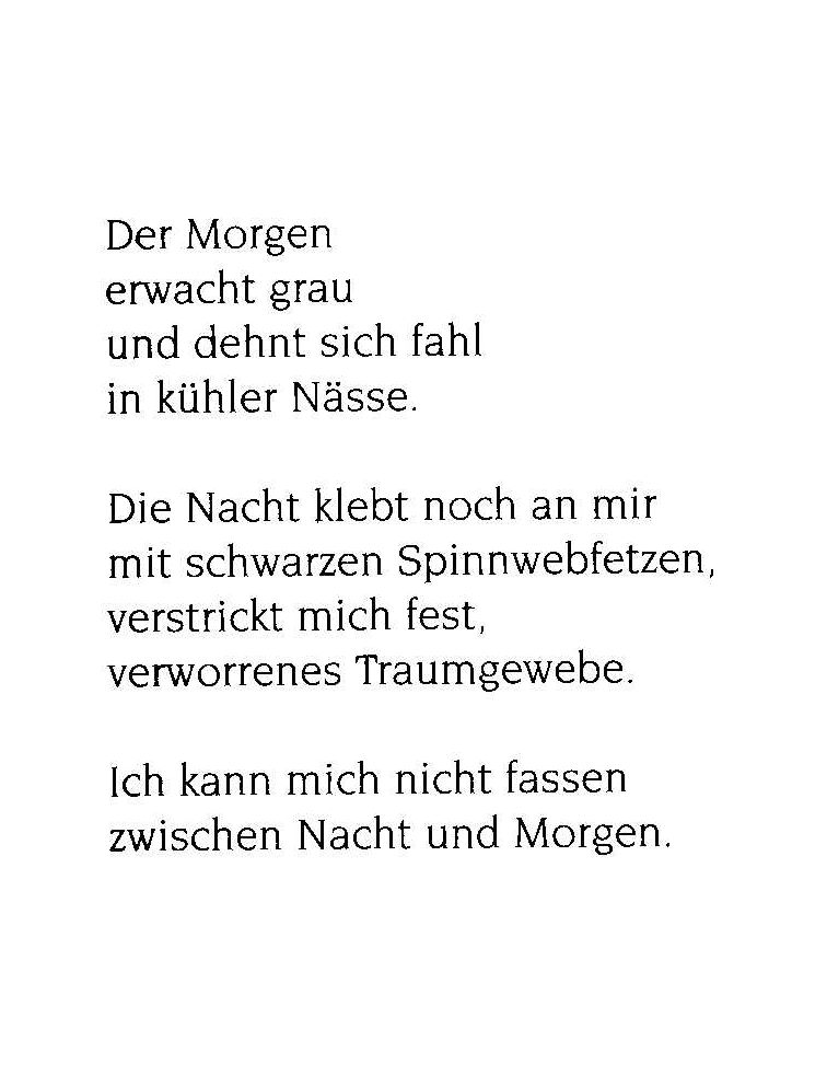Ich lebe mein Leben, Morgennebel Text Ich lebe mein Leben, Morgennebel Text